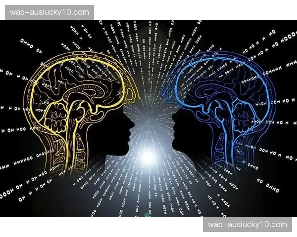 智能编码算法在本年度迭代 节省带宽成本并保画质
